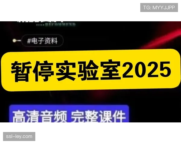 第三节官方暂停期间，大屏幕展示本场比赛至今的“攻防节奏”与“有效命中率”对比图。